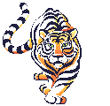 Bild Tiger animiert
