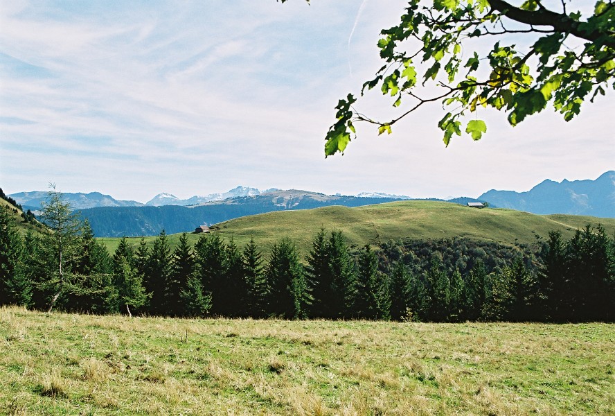 06f16p36_01a.jpg