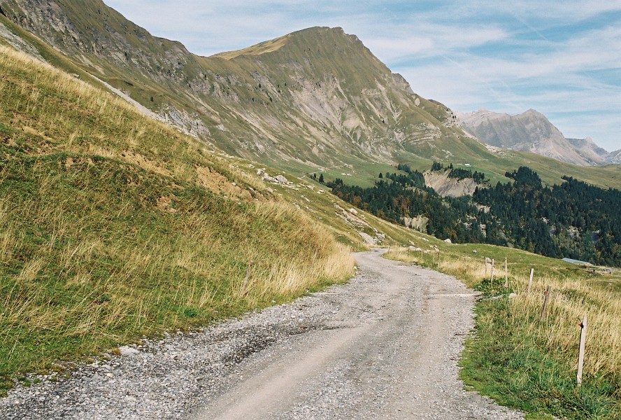 06f17p02_35a.jpg
