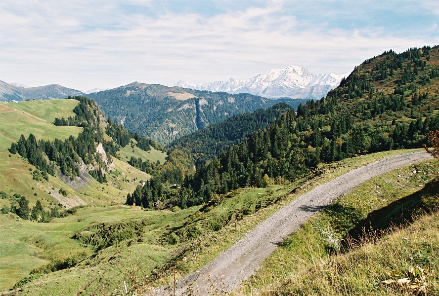 06f17p14_23a.jpg