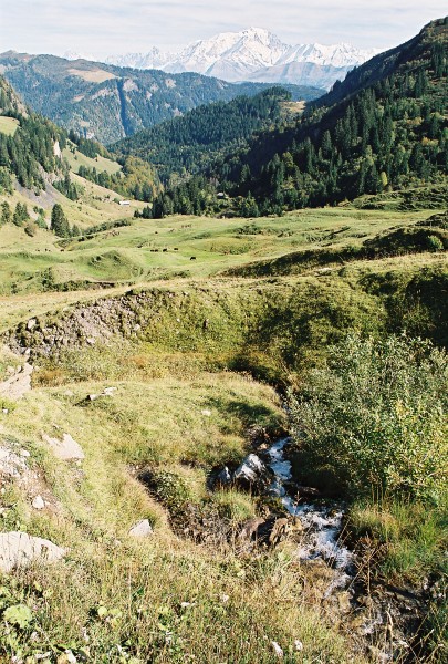 06f17p18_19a.jpg