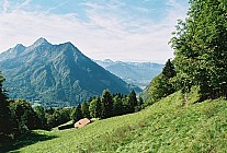 06F16p31_06A.jpg