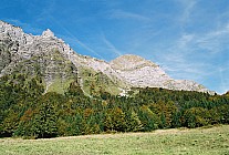 06F16p34_03A.jpg