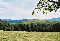 06F16p36_01A.jpg