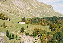 06F17p04_33A.jpg