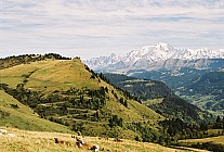 06F17p07_30A.jpg