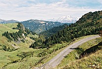 06F17p14_23A.jpg