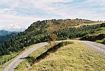 06F17p15_22A.jpg