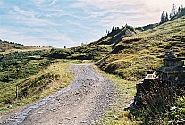 06F17p19_18A.jpg
