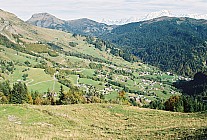 06F17p25_12A.jpg