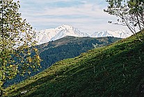 06F17p28_09A.jpg
