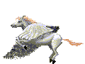 Bild Pegasus animiert