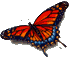 Bild Schmetterling animiert