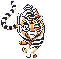 Bild Tiger animiert