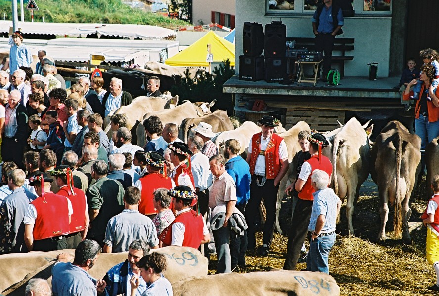 06f15p18_07a.jpg