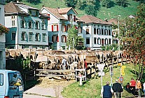 06F15p13_12A.jpg