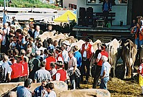 06F15p18_07A.jpg
