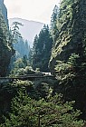 06F16p06_31A.jpg