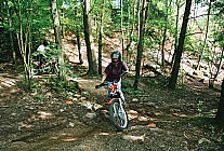 06F13p34_04.jpg